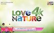 Love Nature 4K ช่องรายการสารคดีคุณภาพจากกล่อง 3BB GIGA TV