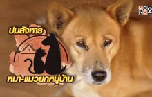 คุยครบกับพบเอก : ปมสั่งฆ่าหมา-แมว 200 ชีวิต… ยับยั้งโรคหรือทารุณกรรมสัตว์