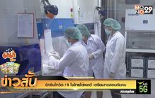 วัคซีนโควิด-19 ในไทยได้ผลดี เตรียมทดสอบกับคน