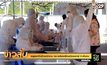 อยุธยากักตัวพนักงาน รง.ผลิตเครื่องมือแพทย์ 5 พันคน