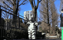 สวนสัตว์ญี่ปุ่นซ้อมรับมือสัตว์หลุดออกจากกรง