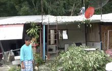 พายุฝนพัดถล่มหลายจังหวัดภาคเหนือ