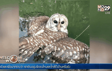 ชายชาวอเมริกันตกปลาแต่ได้นกฮูก