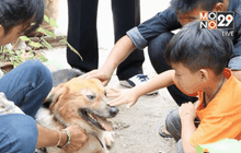 สุดซึ้ง! สุนัขซื่อสัตย์ เจ้าของมารับกลับบ้านแล้ว