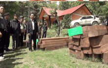 ยึดคืนพื้นที่ป่าน่านถูกบุกรุก 1,334 ไร่