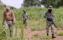 จัดชุดเฝ้าสังเกตหมีควาย 24 ชม.