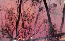 ไฟป่าออสเตรเลียจ่อเข้า “ซิดนีย์”