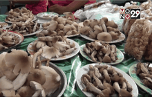 เห็ดโคนออกแล้ว ราคาสูงลิ่ว