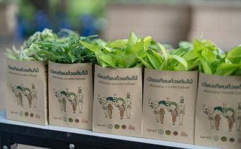 วันวิสาขบูชานี้ สสส. สานพลัง 5 ภาคี ชวนพุทธศาสนิกชนเวียนเทียนด้วยต้นไม้ วัดใกล้บ้าน