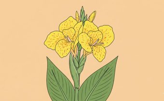 ดอกพุทธรักษา : ดอกไม้วันพ่อ ความหมายมงคล และประโยชน์น่ารู้