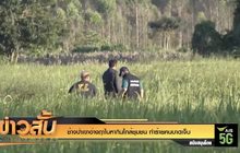 ช้างป่าเขาอ่างฤาไนหากินใกล้ชุมชน ทำร้ายคนบาดเจ็บ