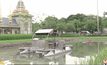แปลงนาประกอบพระเมรุมาศ ถ่ายทอดพระราชกรณียกิจ