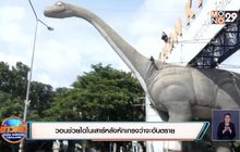 วอนช่วยไดโนเสาร์หลังหักเกรงว่าจะอันตราย