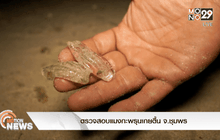 ตรวจสอบแมงกะพรุนเกยตื้น จ.ชุมพร