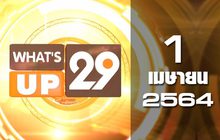 What’s up 29 01-04-64