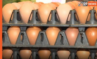 สมาคมฯ ไข่ไก่ ตรึงราคาหน้าฟาร์มฟองละ 3.10 บาท เพื่อบรรเทาค่าครองชีพปชช.