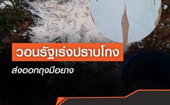 สยท. เครือข่าย วอนรัฐเร่งปราบโกง ส่งออกถุงมือยาง