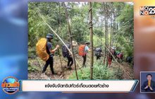 แจ้งจับจัดทริปทัวร์เถื่อนดอยหัวช้าง