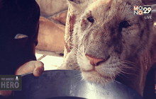 Five minutes Bighero : หมอเบญ ตอนที่ 2/5