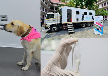 จุฬาฯ พัฒนา “รถดมไว” คันแรกในไทย ใช้สุนัขดมกลิ่นลงพื้นที่คัดกรองผู้ติดเชื้อโควิด-19​