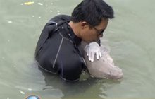 ประเมินอาการ “มาเรียม”เตรียมบินรักษาต่อภูเก็ต