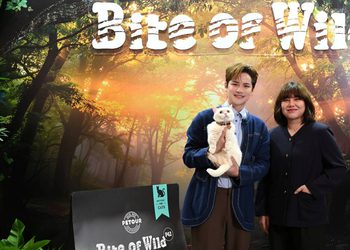 เต๋า – เศรษฐพงศ์ ควงลูกสาว น้องแฮปปี้เปิดตัวครั้งแรก ในงาน Bite of Wild “ชุมทางเชฟเสือ” ผลิตภัณฑ์อาหารแมวระดับพรีเมียม จากวัตถุดิบธรรมชาติเนื้อแท้คุณภาพเยี่ยม พร้อมร่วมเปิดประสบการณ์มื้อสุดพิเศษปลุกพลังเสือ
