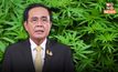 “บิ๊กตู่” สั่งเด็ดขาด ห้ามใช้กัญชาในหน่วยทหาร ให้เหล่าทัพร่างคำสั่งตามกรอบ สธ.
