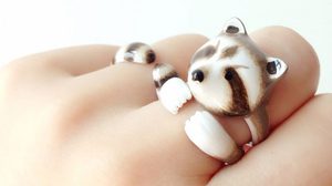 เจ๋งอ่ะ! แฟชั่นแหวน 3 วง กลายเป็นรูปสัตว์แสนน่ารัก