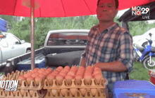 เจ้าของแผงไข่ปลอมยืนยันรับซื้อไข่มาจากฟาร์ม