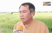 แนะแก้ปัญหาข้าวเรื้อช่วงหน้าแล้ง