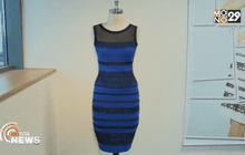 ปรากฎการณ์เห็นต่างในสีชุดเดรส