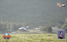 ป่าไม้แทงกั๊ก ยังไม่ดำเนินคดี “ปารีณา”