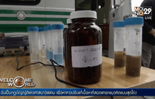 ตรวจพบไซยาไนด์ปนเปื้อนสูงเกินระดับปกติ 80 เท่า