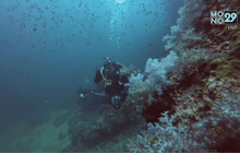 Five minutes Bighero : แน่งน้อย ยศสุนทร HERO ผู้พิทักษ์ทะเลไทย ตอนที่ 4/5