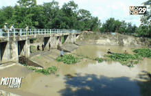 ชาวเชียงราย ร่วมขุดลอกผักตบชวาป้องกันน้ำท่วม