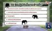 อุทยานฯเตือน 10 ข้อเมื่อเจอ “พี่ดื้อ” ช้างป่าเขาใหญ่