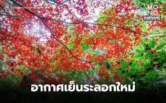 รับมวลอากาศเย็นระลอกใหม่ ไทยตอนบนมีฝนบางแห่ง  ใต้ ระวังฝนตกหนักบางพื้นที่