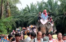 ครูบำนาญ ใช้ช้าง 11 เชือก แห่นาคงานบวชลูกชาย