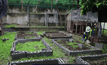 ฟาร์มเกษตรอะควาโปนิกส์ในฟิลิปปินส์