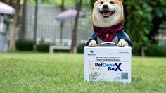 PetgeneX ธนาคารสเต็มเซลล์จากเลือด