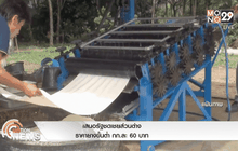 เสนอรัฐชดเชยส่วนต่างราคายางขั้นต่ำ กก.ละ 60 บาท