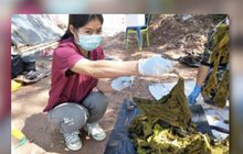 กวางป่าตายพบขยะในท้อง 7 กิโลกรัม