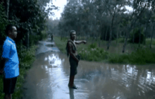 น้ำท่วมหลายพื้นที่ ใน อ.ชะอวด