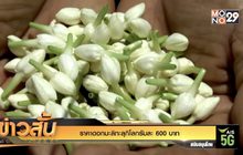 ราคาดอกมะลิทะลุกิโลกรัมละ 600 บาท