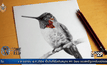 วันที่ 8 เมษายนของทุกปี วัน “วาดรูปนก”