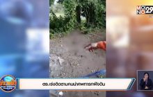 ตร.เร่งติดตามคนนำศพทารกฝังดิน