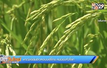 พาณิชย์ยันข้าวหอมมะลิไทย คนนิยมทั่วโลก