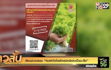 เตือนข่าวปลอม “กินผักไฮโดรโพรนิกส์แล้วเป็นมะเร็ง”
