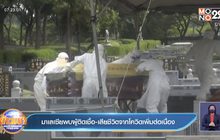 มาเลเซีย พบผู้ติดเชื้อ-เสียชีวิต จากโควิด ทำสถิติใหม่ต่อเนื่อง