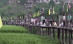 เร่งติดตั้งสะพานชั่วคราวหลังสะพานไม้ซูตองเป้พังถล่ม